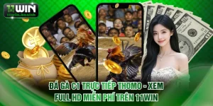 Đá gà C1